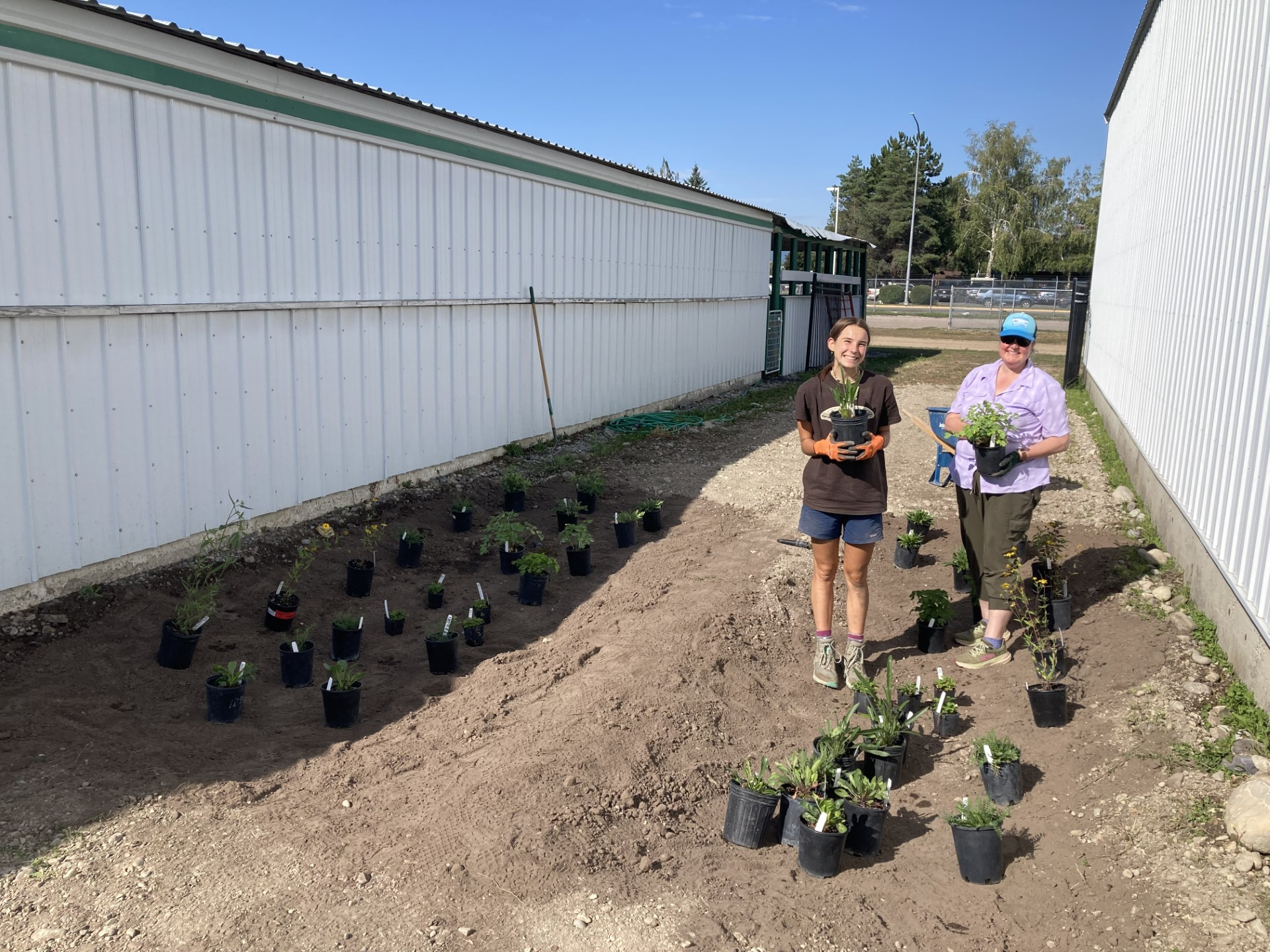 The Flathead County Fairgrounds Beautification Project with a newly installed rain garden thanks to the AMTOPP grant.